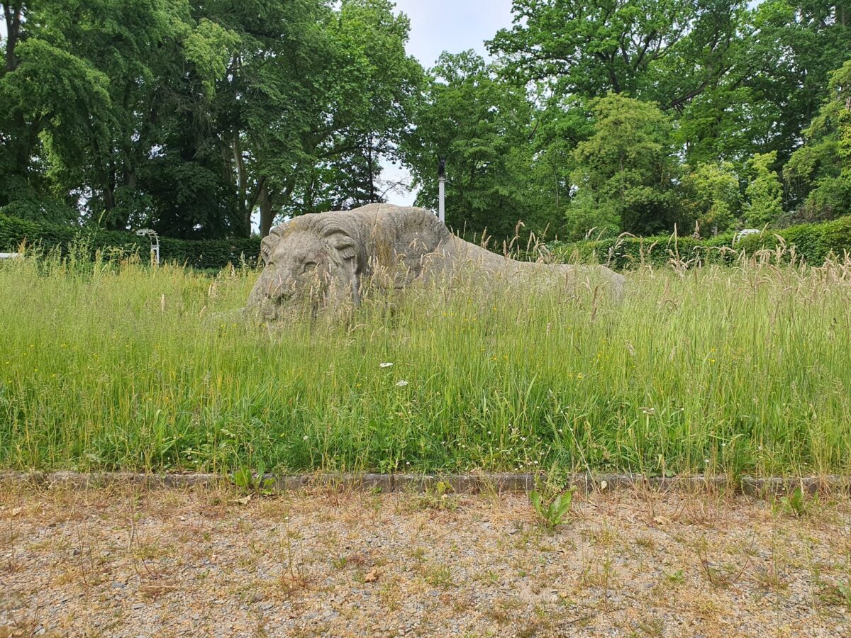 Spontaner Arbeitseinsatz am Heldenhain