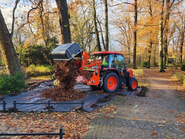 Arbeitseinsatz am Pauckert-Denkmal
